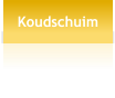 Koudschuim