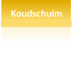 Koudschuim